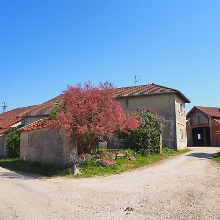 Le Gite Du Haut Châtillon-la-Palud Zewnętrze zdjęcie